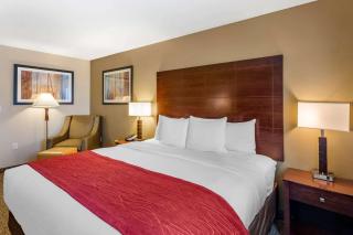 Comfort Inn & Suites Tooele-Salt Lake City - 4