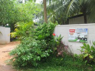 Levi's Tourist – Anuradhapura - Anuradhapura - 4