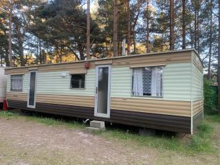 Los Palangelė - Palanga - 0