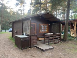 Los Palangelė - Palanga - 1