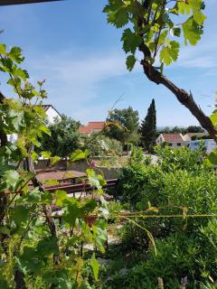 Apartmani Rosanda 2 - Petrcane - 2