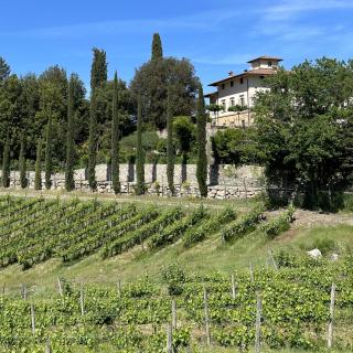 Villa Campomaggio Resort & SPA - Radda in Chianti - 2