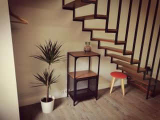 Duplex INDEPENDANT Centre ville - 5