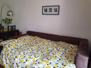 Stunning Studio Apartment - Veyrier - 8