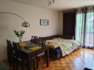 Stunning Studio Apartment - Veyrier - 7