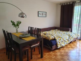 Stunning Studio Apartment - Veyrier - 2