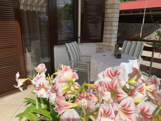 Apartments Prendivoj - Malinska - 1