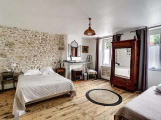 Maison de ville au pied de la Montagne Noire - Mazamet - 9
