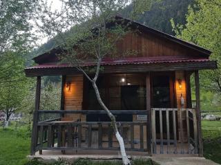 Cancik Dağ Evleri - Rize - 3