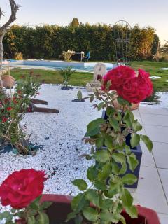 COCOONING - Seyresse - 5