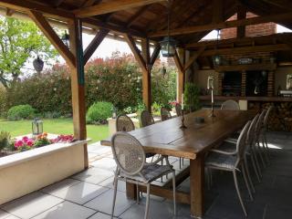Libellule - Coussac-Bonneval - 0