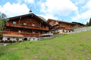 Alpengasthof Rossmoos - Alpbach - 8