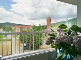 APARTAMENT GROMADZYŃ 39 - Ustrzyki Dolne - 5