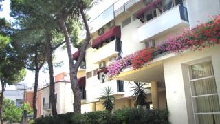 Hotel New Primula - Rimini - 9