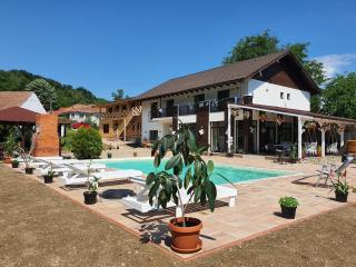 Casa Artemis-jacuzzi și piscină - Pianu de Sus - 6