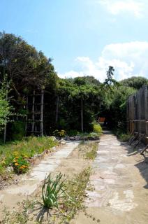 Residence Solalto - San Vincenzo - 3