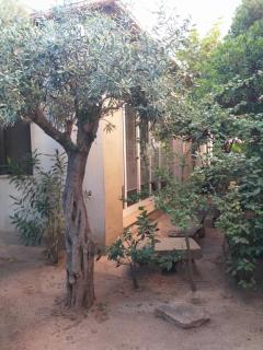 I Ginepri Guest House - Olbia - 7