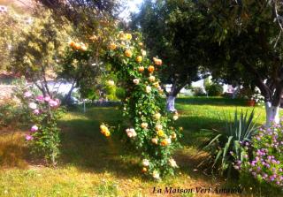La Maison Vert Amande - Spathi - 7