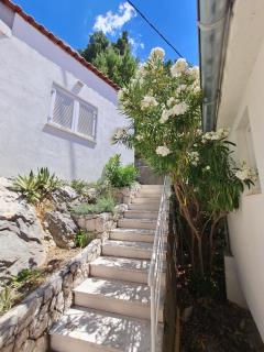 Apartments Apartmani Pintar - Mimice - 6
