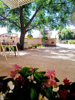 Apartmani Henjak - Jezera - 7