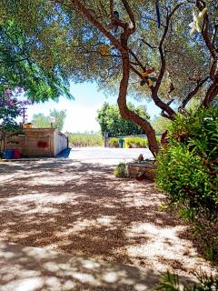 Apartmani Henjak - Jezera - 4