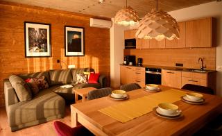 Apartamenty u Harrego BOUTIQUE SPA z klimatyzacja, balkon, sauna, tężnia parking - Kudowa-Zdrój - 5