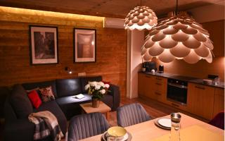 Apartamenty u Harrego BOUTIQUE SPA z klimatyzacja, balkon, sauna, tężnia parking - Kudowa-Zdrój - 9