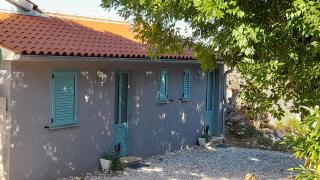 Home Lotus Flower - 7