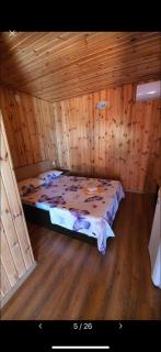Casa Tony si Alex - Eforie Nord - 8