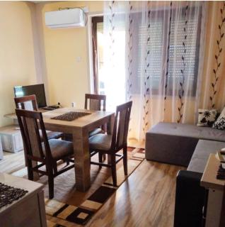 Studio Apartman Atila Sokobanja - Sokobanja - 0