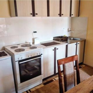 Studio Apartman Atila Sokobanja - Sokobanja - 8