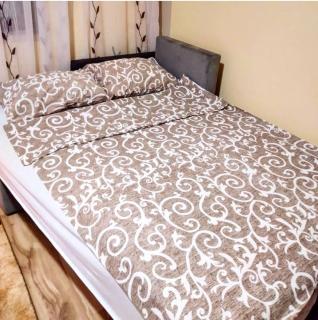 Studio Apartman Atila Sokobanja - Sokobanja - 6
