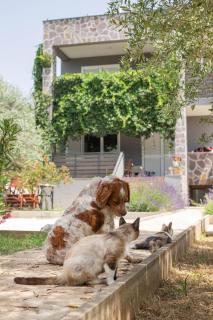 Apartman Rabota free beach accesories - 8