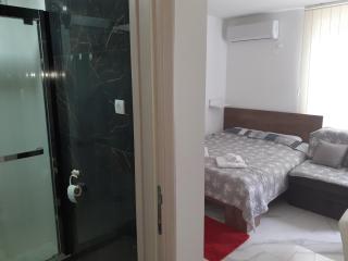 Apartman Markovic Silver Lake - 4
