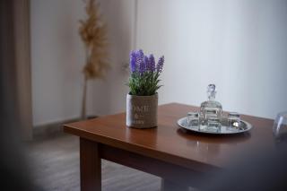 Virginia's house - 1