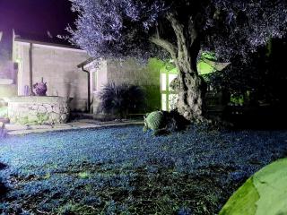 Dependance Oscar - Carrozziere – Fonte Ciane - 6