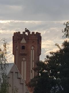 Ferienhaus an der Salzkirche - Tangermünde - 9