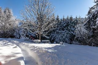 Le Tintinnabule - Villard-de-Lans - 0