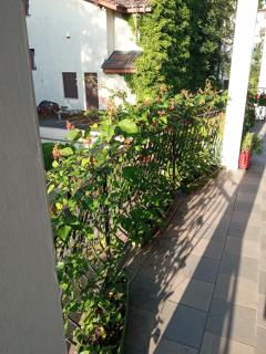Iwona Hostel - Budget Rooms with Private Bathrooms - Sopot - 2
