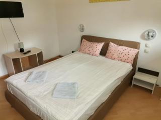 Lara Guest House - Sfântu-Gheorghe - 9