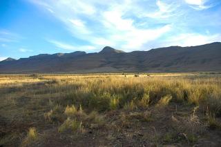Tweefontein House - Blaauwater - 4