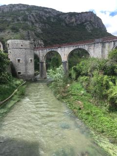 Les Asphodèles - Saint-Hippolyte-du-Fort - 6