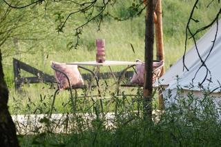 Glamping du Moulin - Bastogne - 9