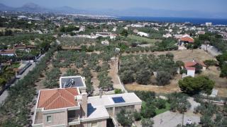 Aphrodite Villa - 8