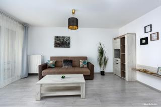 Apartament Mini Palais Brasov - Braşov - 9