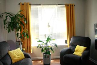 minutes from downtown 3br stylishhome-free parking - Raleigh - 9