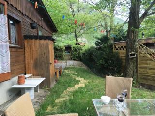 Chestnut's Little Chalet - Collonges - 4