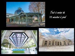 Sources des Célestins - Gare - Pôle universitaire - labellisé Clévacances 3 étoiles - Vichy - 5