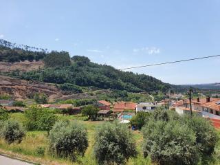 Lousã's Brown & White - 1