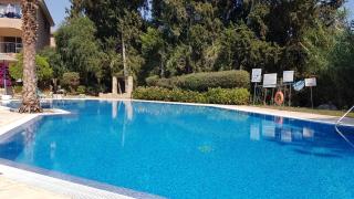 Paradise Gardens IV 2 Bd Amazing Apartment - 2